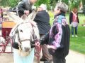 rodho 2013 (69).jpg